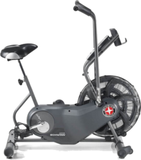 Schwinn Airdyne AD6